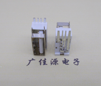 塘厦镇USB侧立式短体10.0尺寸 侧插加宽脚5A大电流插座